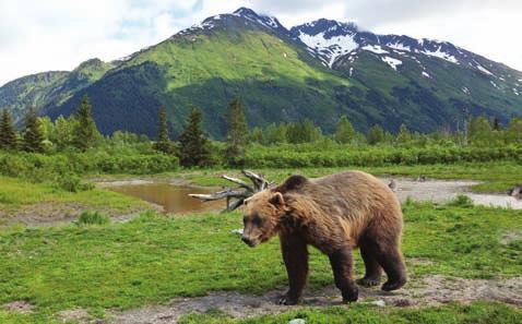 Relax and enjoy your vacation of a lifetime as Royal Caribbean has taken care of all of the pre-planning, allowing you to make the most of your Alaska vacation experience.