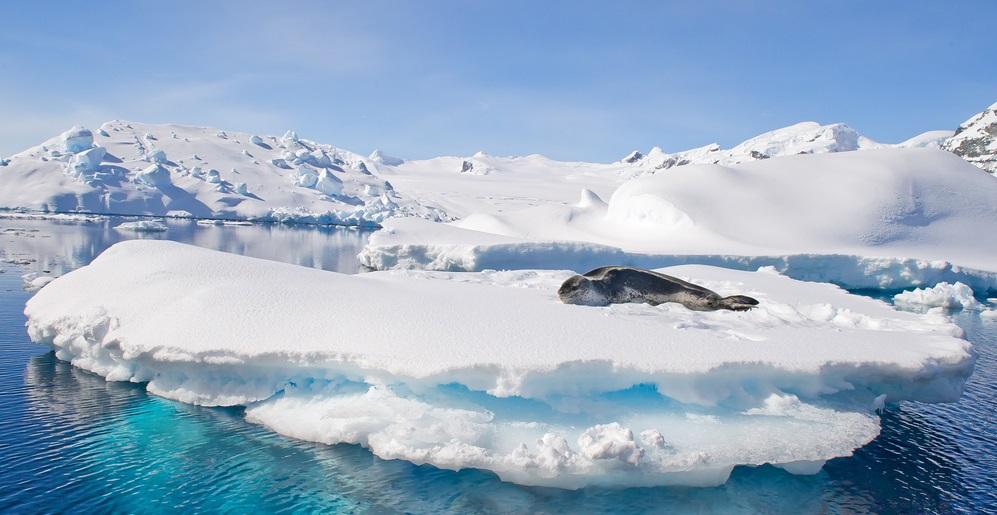 INTRODUCTION This expedition offers you the most in-depth exploration of the Antarctic Peninsula.