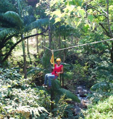 HIL 108-101/102/103 RAINFOREST ZIPLINE & WATERFALL ADVENTURE (3 sections) Full Day Imagine yourself flying through a tropical rainforest canopy over gurgling streams and waterfalls with a view of the