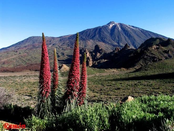 El Teide and the whole national park is one of the most important natural places in the world for its amazing geological and