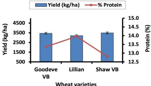 Nitrogen Fertility & Cultivrs Most effective strtegy for incresing protein in whet