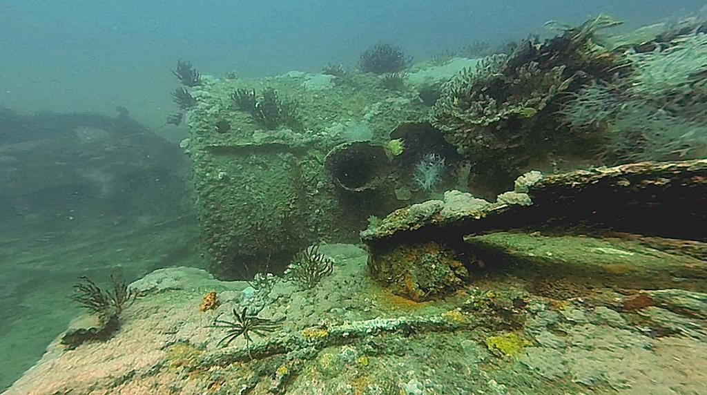 History of the Spanish Armed Transport San Quintîn ex S/S Andes Diving Subic Bay San Quintin Dive Site Subic Bay History of the Armed Transport San Quintîn In 1850, the British and North American