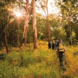 This truly unique adventure starts in the foothills of South East Queensland s Main Range National Park; an area famous for its stunning collection of mountain ranges, escarpments, forests and
