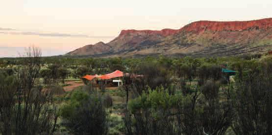 Over six days, the sections of the Larapinta Trail that we cover on this walk will delight wilderness lovers and challenge the seasoned hiker.