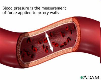 KRVNI TLAK = sila kojom krv djeluje na jedinicu površine žilne stjenke - najviši u srcu i smanjuje se u arterijama - zbog utjecaja perifernog otpora, tlak u arterijama (ili bilo kojoj krvnoj