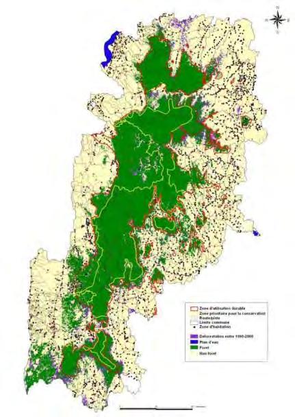 degraded land Conservation (REDD) and Ecological restoration (reforestation):
