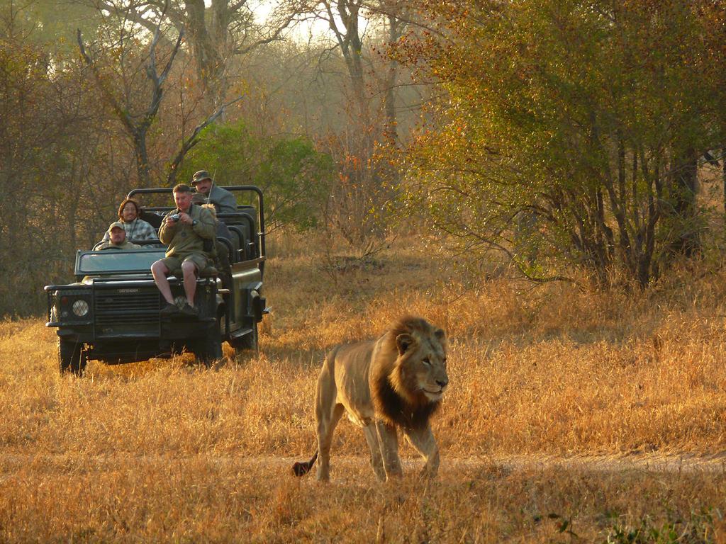 GENERAL TRAVEL INFO Game Drive Vehicles On game drives you are able to get a lot closer to big game. The animals are generally habituated to the vehicle.