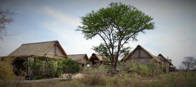 lodge occupants on game drives in the lodge s own Open Safari Vehicle through Kruger Big 5 territory.