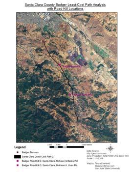 preserved Santa Clara County Badger Least-Cost Path 2 Analysis & Road Kill Locations Least-Cost Path 2 analysis: -runs from below Watsonville north to Santa Teresa