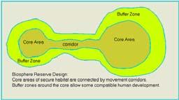 Recommendations for Badger Corridor Design Culvert Design Badger corridors should include not only habitat