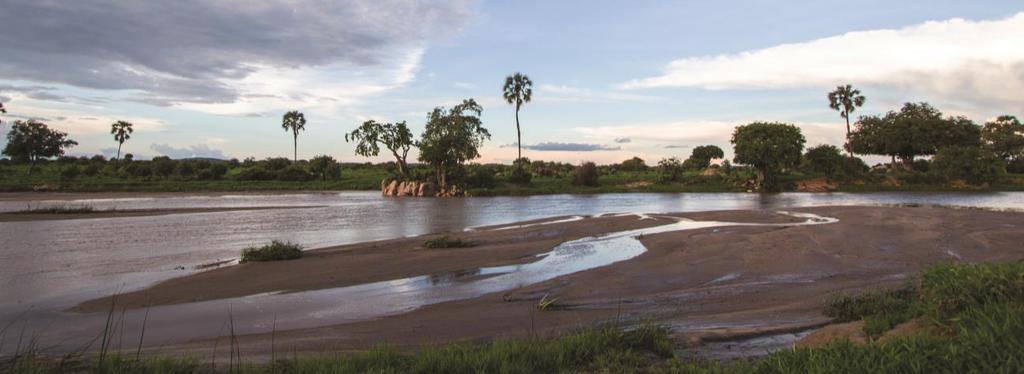 The highlight of your adventure may be the diverse activities in the Selous and Ruaha such as walking safaris and boating on the Rufiji River.