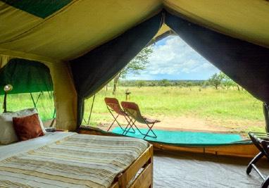 Their locations are close to pristine areas that offer unparalleled game viewing, Comprising just ten to twelve spacious tents, the focus is on your comfort and