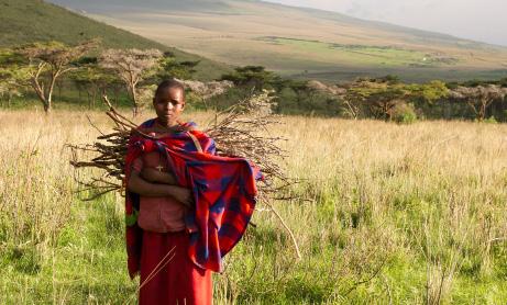 DAY 5 MYSIGIO CAMP NGORONGORO CONSERVATION AREA Robert Wheeler Today you will hike and visit with the Maasai in the remarkable landscape of extinct volcanoes, mist shrouded forests, and wildlife