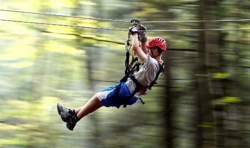 Canopy Tours A Canopy Tour consists of a series of zip lines and platforms (and the occasional rope bridge or rappel element) that takes participants on a treetop tour of the area around action point.