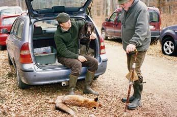 LOVSKA KINOLOGIJA plenilec z največjim vplivom na stalež male divjadi. Kjer pa lovci lovijo lisice, se srečujejo tudi z njihovimi obstrelitvami.