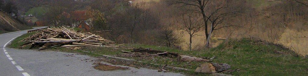 , okolina Andrijevice) Precizniji podaci o količinama krupnog drvnog