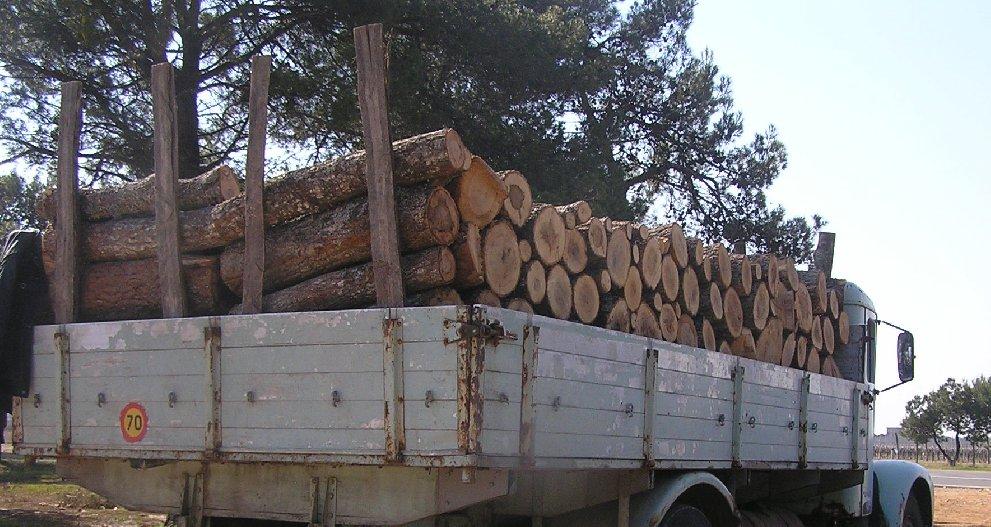 2.5. Aktuelno stanje u pogledu korišćenja ogrevnog drveta u Crnoj Gori Ogrevno drvo predstavlja tradicionalno glavni energent koji se korsiti za potrebe grejanja i spremanja hrane u domaćinstvima u