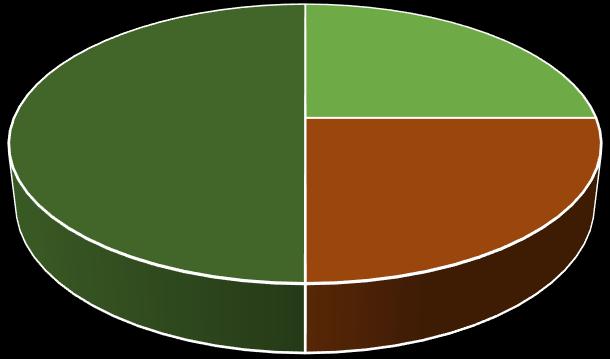Grafikon 14 : Kategorizacija kampova u Gradu Puli 25% 50% 25% ***** **** *** ** * NERAZVRSTANI Izvor: obrada autora prema podacima prikupljenih od Turističke zajednice Grada Pule, 2015.