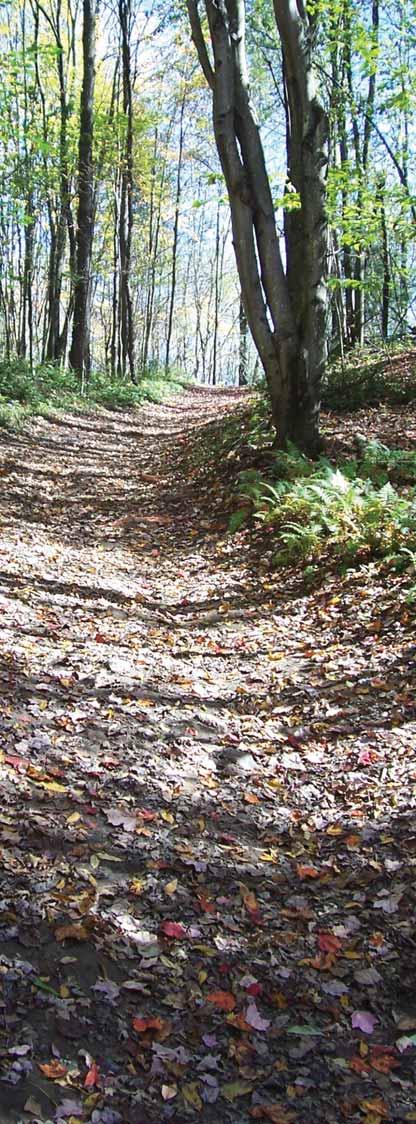 INTRODUCTION Trails in this guide are identified by name, location, how to reach the trailhead, length in miles, and type of trail (single or multiuse).