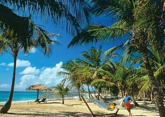 cruises offer many fun ways to soak up the tropical sun Cruises have a variety of excursions