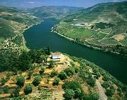 OPTION 4 DOURO TOUR WITH A VISIT TO AN WINE ESTATE (Half Day) Around 14.