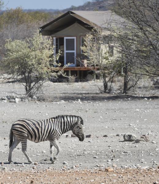Namibia. Check into Andersson s Camp for two nights.