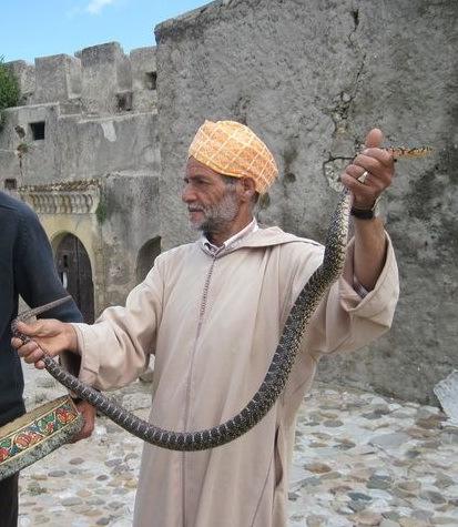 The snake charmer brought out his cobra and proceeded to put on a show. Nageb said we could get closer if we wanted to. Jan and I were fine right where we were.