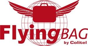General Terms and Conditions of FlyingBag Service Article 1 : Object / Definitions This document sets out the general Terms and Conditions applicable to the booking of the FlyingBag Service