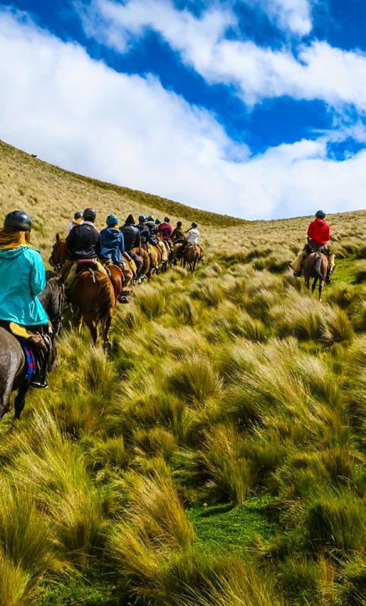 trip overview Right on the Equator, Ecuador sits, holding court as a cultural mecca and natural wonder.