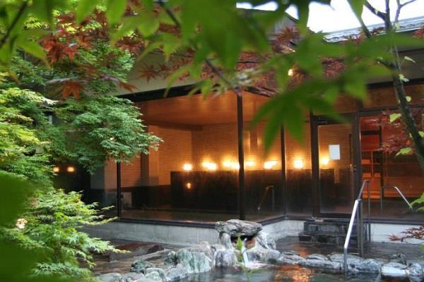 Nikko Okunoin Hotel Tokugawa Deluxe Ryokan Japanese Style room with Open-Air Bath - 1 night Located in Nikko, Hotel Tokugawa is a traditional Japanese-style ryokan featuring a hot spring bath.