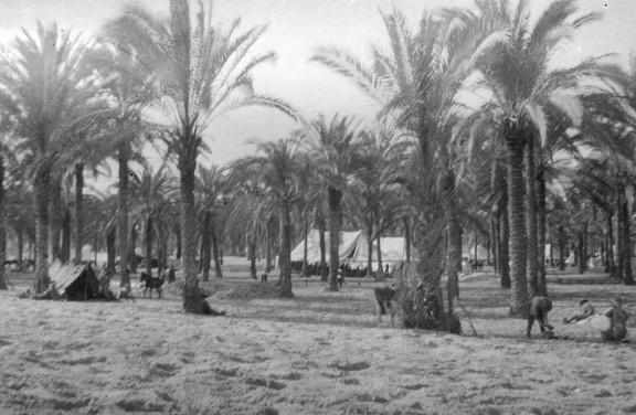 An Australian camp near El Arish They won the Battle of Magdhaba and returned to camp for Christmas (1916) with 1100 prisoners.