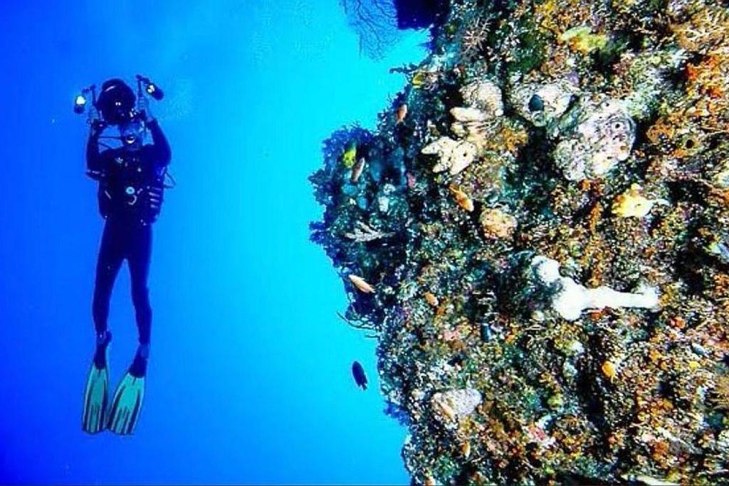 Boasting over 50 spectacular dive sites, Wakatobi in South Sulawesi is home to the country s