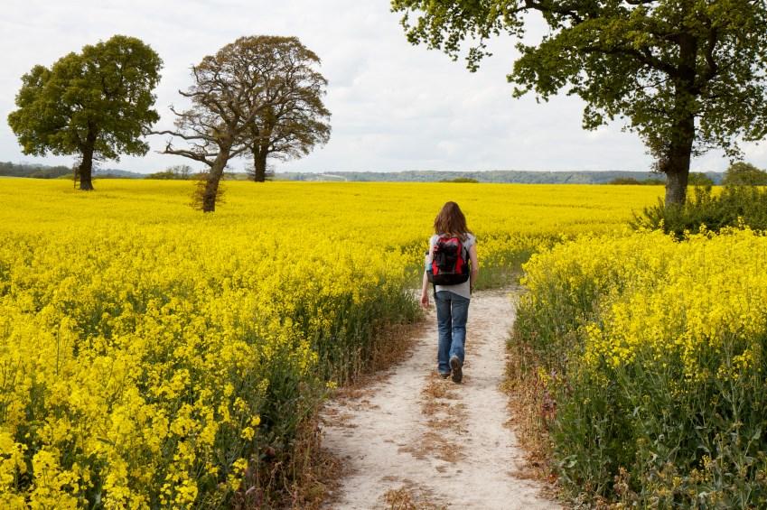 Walk amongst vibrant yellow fields of corn, follow picturesque chalk cliffs and admire traditional thatched cottages with colourful English Gardens on this walk in Southern England.