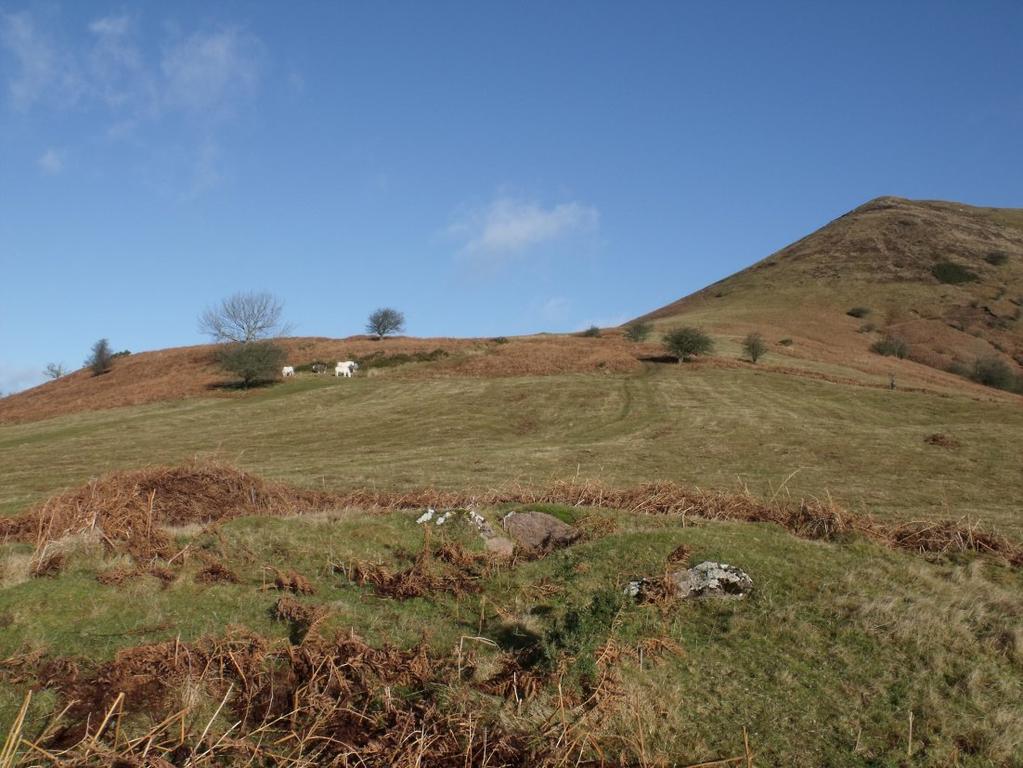 Mynydd Troed Grid reference: SO 1614 2843 Access: Open access with limited parking nearby Excavations: Crampton and Webley 1966 PRN: 638 Sited on the north side of the col between Mynydd Troed and