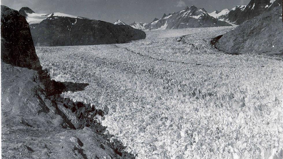 The 1941 photo shows the lower reaches of Muir Glacier, then a large, tidewater calving valley glacier and its tributary Riggs Glacier.