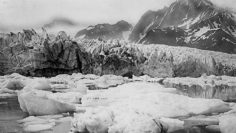 When photographed here sometime between the 1920s and the 1940s, Pedersen Glacier was calving icebergs into the lake from a seracs-capped terminus