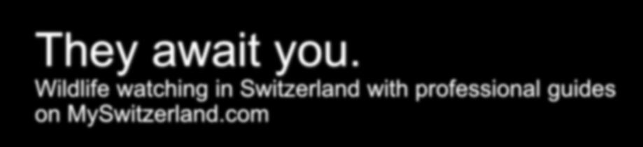 Switzerland with
