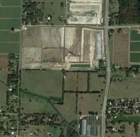 5 Upland Acres Tampa Lakeland SAME DAY DELIVERY: 6.