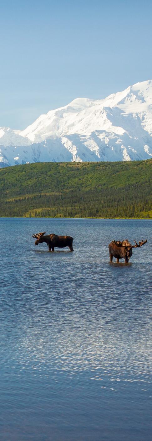 2019 ALASKA HIGHLIGHTS From unwinding after a day of adventure with a warm cup of hot chocolate at The Lawn Club, or watching the awe-inspiring scenery unfold from your Balcony Stateroom, Celebrity