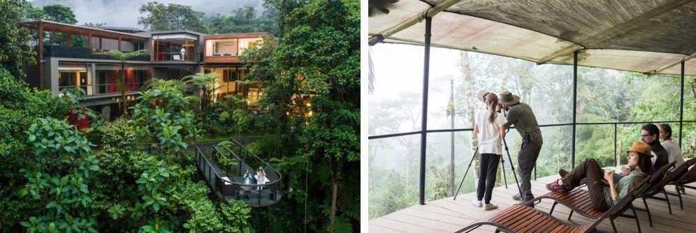 Optional Pre-Tour: MASHPI LODGE The breathtaking surroundings of Mashpi Forest look and feel like a dream misty clouds, crashing waterfalls, and varieties of wildlife found nowhere else in the world.