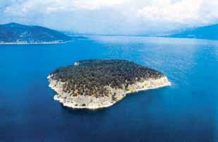 the Middle Ages. The island, which covers a surface of 20 hectares, is a large cliff which rises 30 m above the surface of the water.