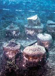 6,000 remnants of wooden piles have been discovered on the lake bottom at the depth of 3 to 5 m which probably supported a single wooden platform on which approximately twenty