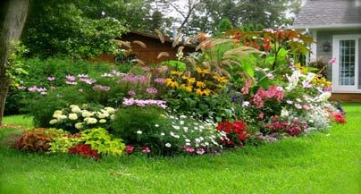 4 Igra boja u cvjetnom vrtu Ivana Markota, master struke Igra boja te tekstura najveći je izazov u kreiranju uspješnog vrta bez obzira na to što je njihova blještava privlačnost kratkog vijeka.