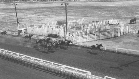 the Sonoma County Fair was planted in 1936 by friends over cocktails. The three decreed to revive the county fair at an Alexander Valley ranch.