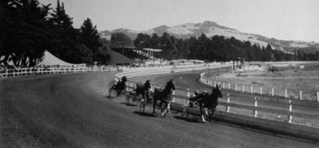 com History of Sonoma Horses Early Days The history of horses in Sonoma County begins in the mid 1770s with the arrival of the Hispanics who used horses mainly for transport and controlling cattle.