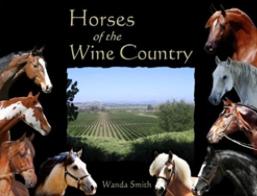!5 History of the Horse in Sonoma County The Racing Era By the late 1800s, many ranchers had created excellent horse breeding programs.