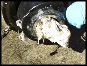 Flushable Wipes Blamed for Sewer Woes Increasingly popular bathroom wipes pre-moistened towelettes that are often advertised as flushable are being blamed for creating clogs and backups in sewer