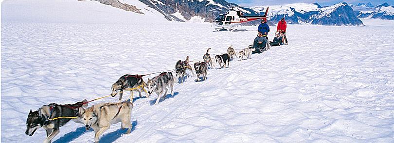 The Dogsled Tour was the BEST excursion for all ages.