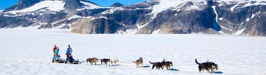 , Salt Lake City, UT nd Dog SledTours Juneau Glacier Dog Sled Tour Unfasten your Seatbelt & Hold on Tight! Forget horsepower. This tour is about dog power.