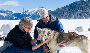 Learn the tricks of the trade from seasoned veterans of the legendary Alaskan Iditarod Race. Master the all-important commands of Hike! Gee! and Haw!